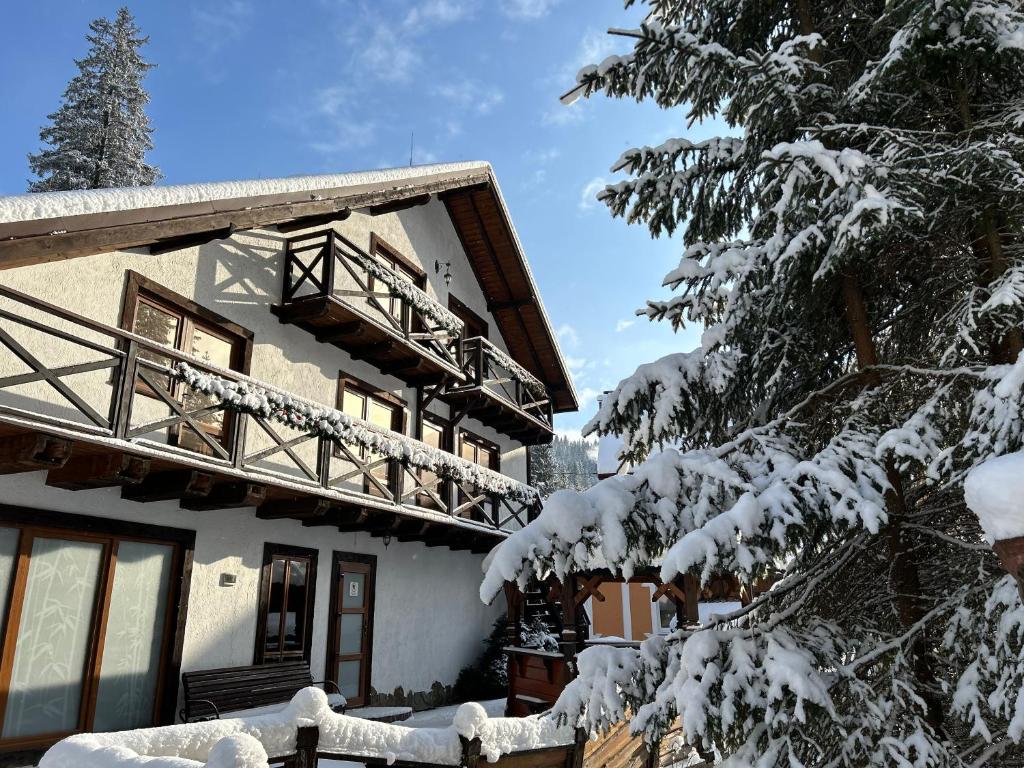 een huis in de sneeuw met sneeuw bedekte bomen bij Любе in Yablunytsia