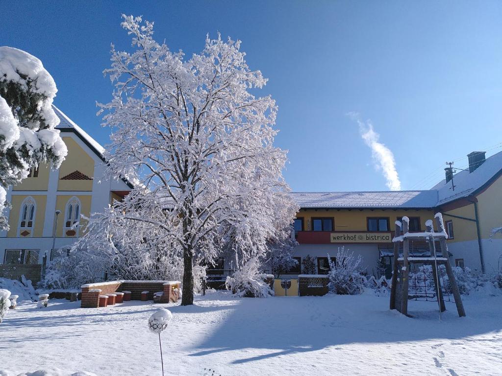 a tree covered in snow in front of a building at Werkhof Bistrica in Hof
