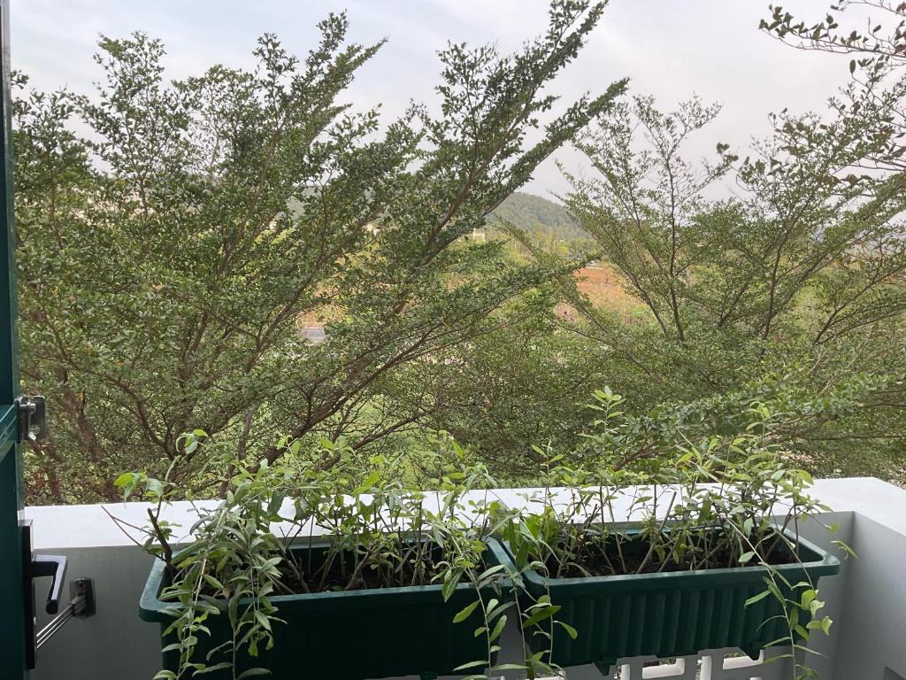 Green Inn Phu Quoc Hotel - 12