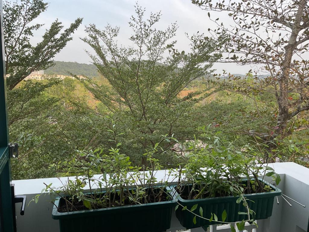 Green Inn Phu Quoc Hotel - 11