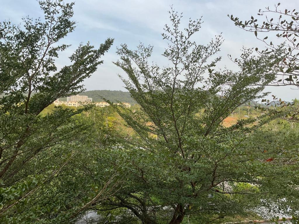 Green Inn Phu Quoc Hotel - 10