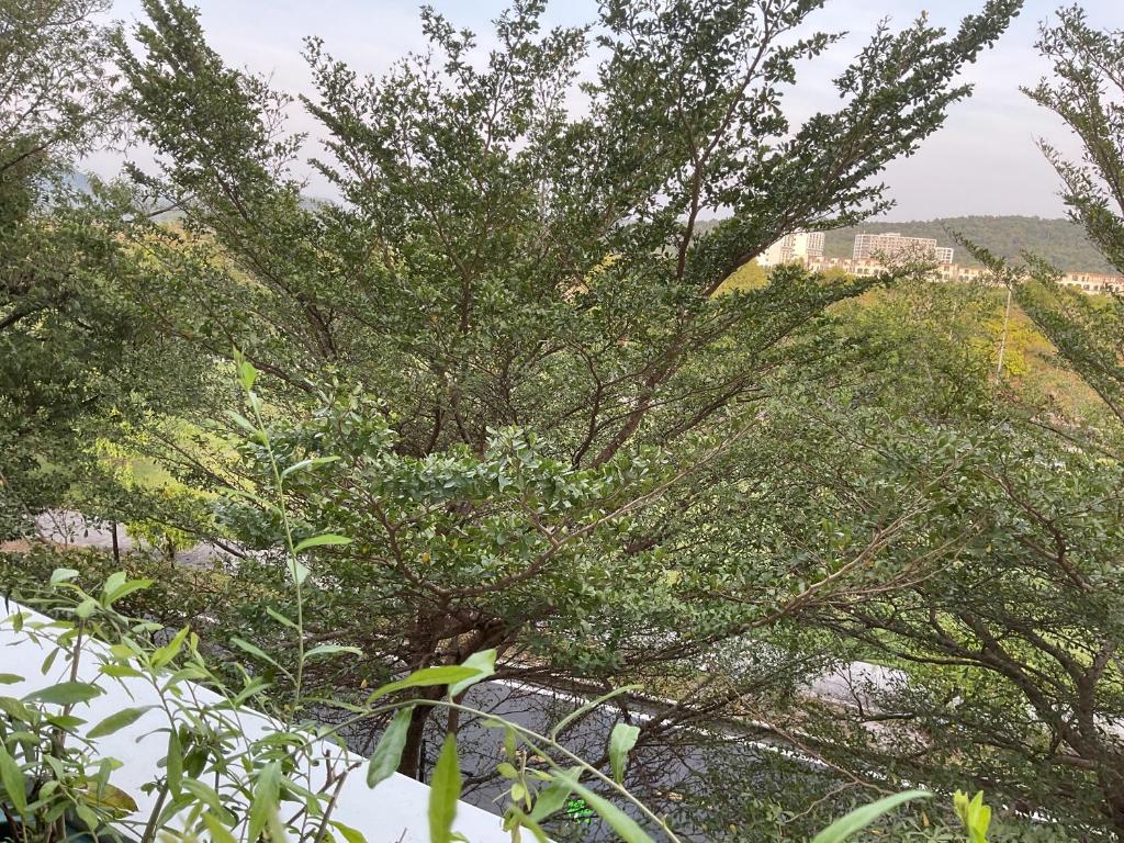 Green Inn Phu Quoc Hotel - 8