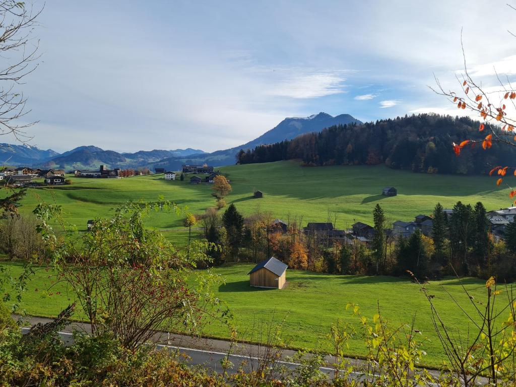un campo verde con una pequeña casa en el medio en Ferienhaus Buchen en Schwarzenberg im Bregenzerwald