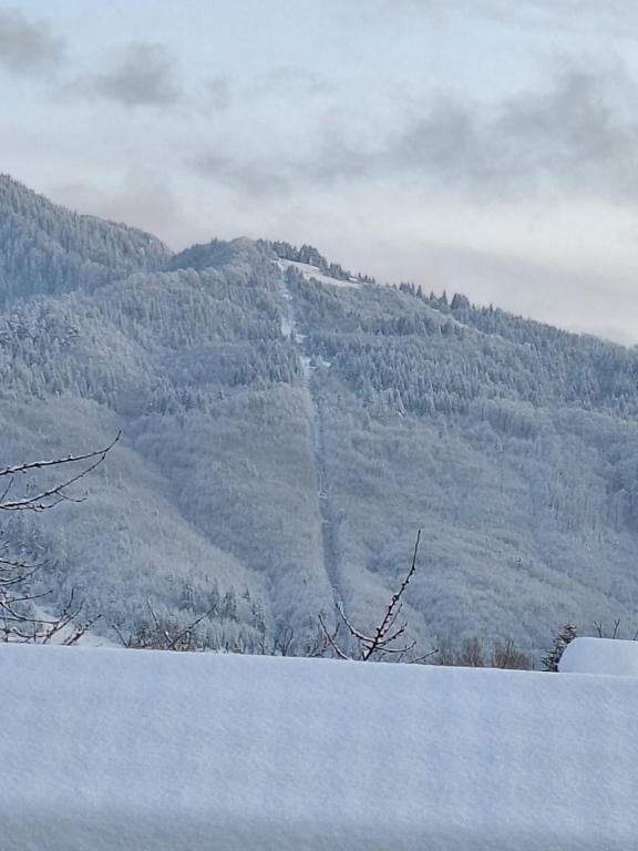 a view of a mountain with snow on the ground at Casa David in Braşov