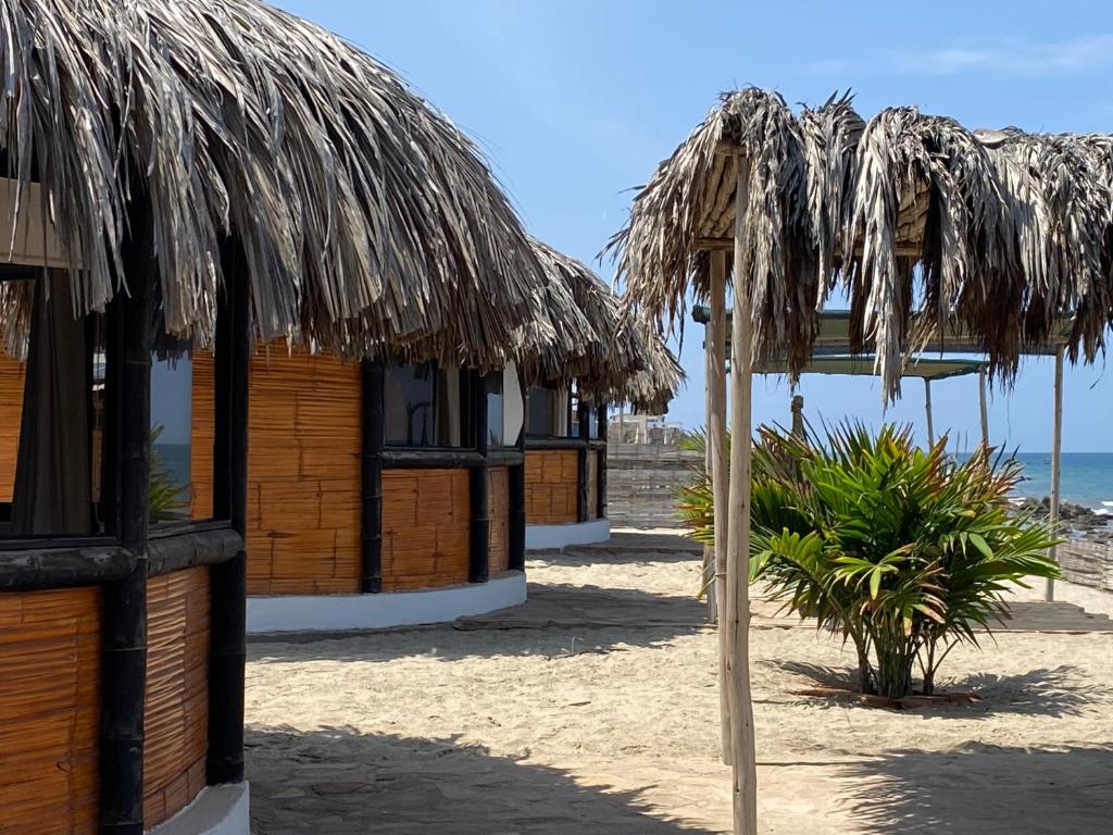 een rij hutten op een strand met de oceaan bij Marinus Eco Lodge in Canoas