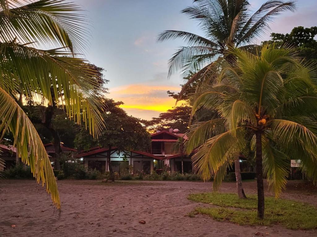 two palm trees on the beach with a sunset in the background at Agua Dulce Beach Resort in Puerto Jiménez