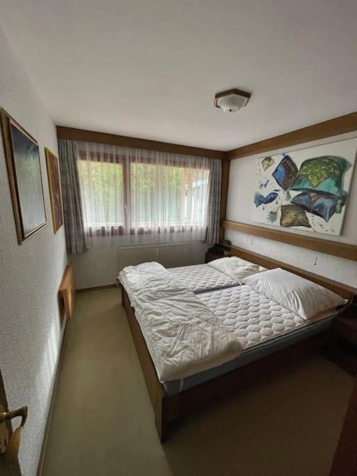 Postel nebo postele na pokoji v ubytování Apartment Eva - Hinterthal