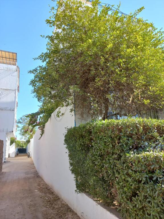 a white fence with a tree on top of it at Villa Kaslan Apartments in Luxor