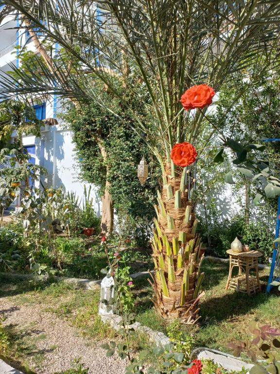 a cactus with two red flowers in a garden at Villa Kaslan Apartments in Luxor