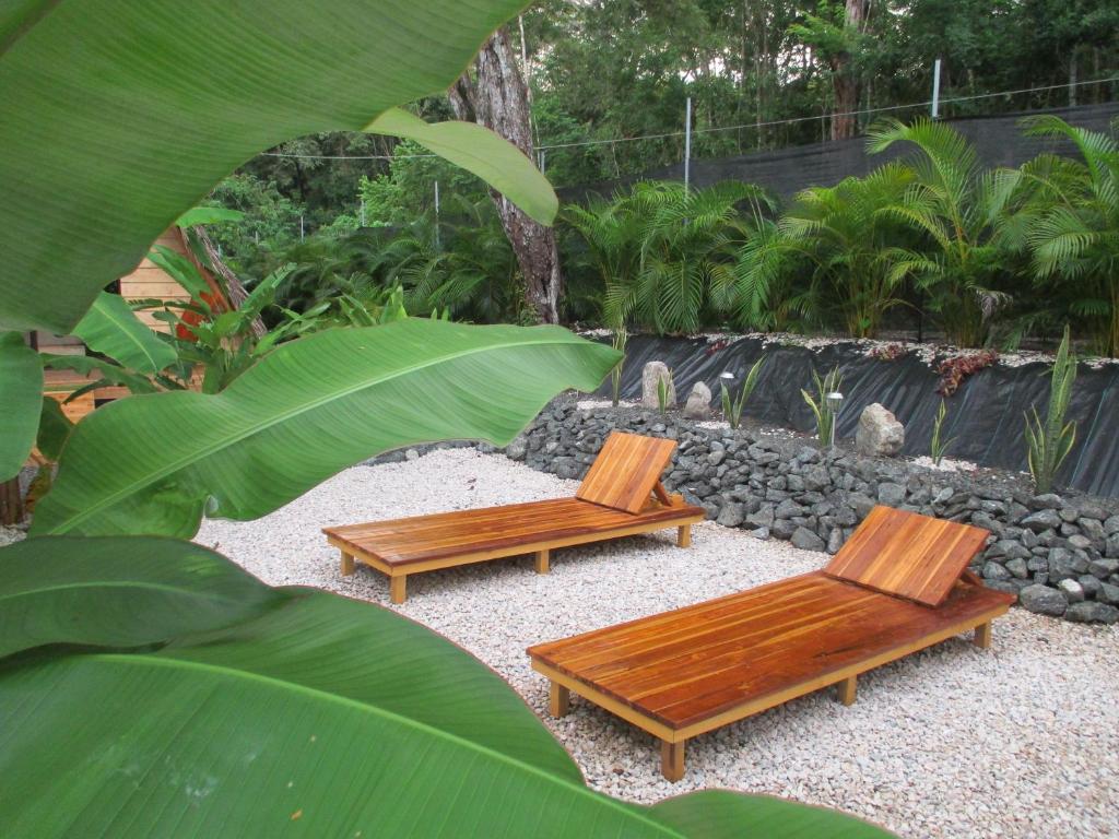 Zahrada ubytování Cabinas de Lou Eco Lodge TAMARINDO