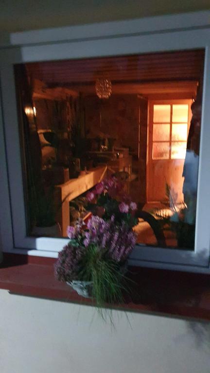 Zahrada ubytování Wellness-Beskydy