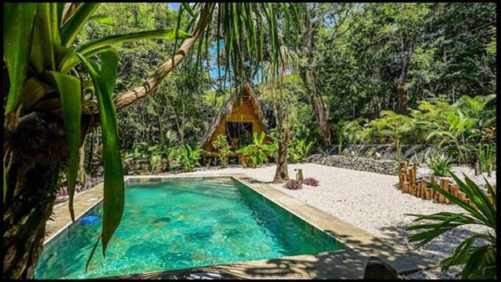 Bazén v ubytování Cabinas de Lou Eco Lodge TAMARINDO nebo v jeho okolí