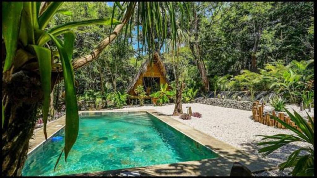 a swimming pool in the middle of a resort at Cabinas de Lou Eco Lodge TAMARINDO in Santa Rosa