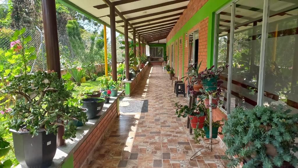 Finca Hotel el Vergel Filandia Quindio