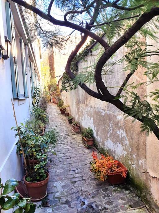 une allée en pierre avec des plantes en pot sur le côté d'un bâtiment dans l'établissement Love Week in Paris, 2 pièces hyper-centre parisien, à Paris