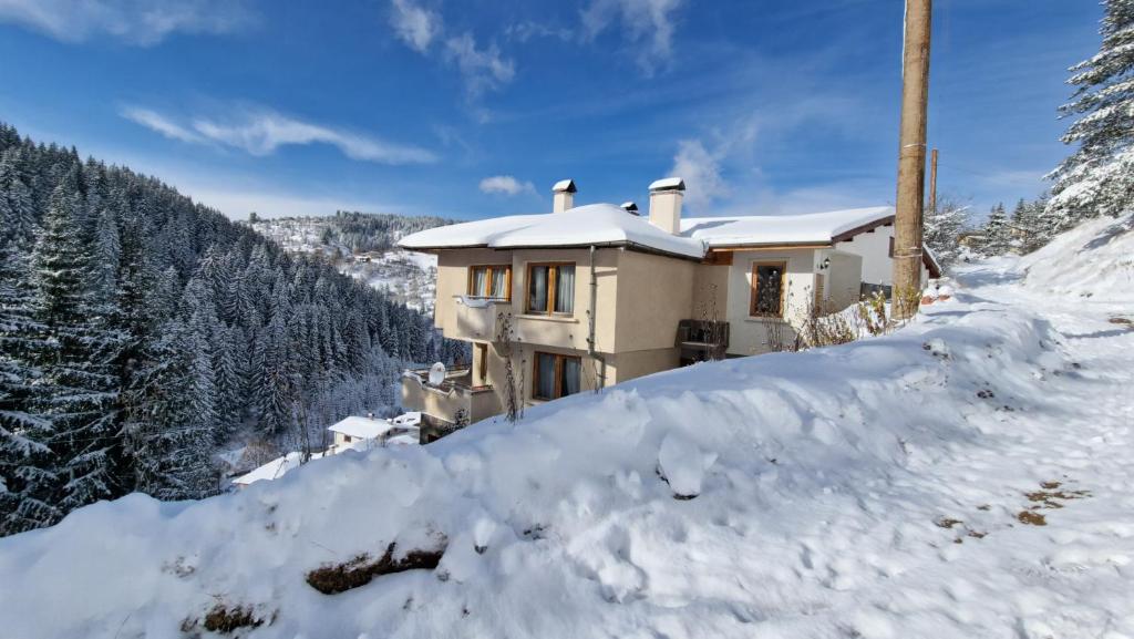 Cozy & Spacious Pamporovo Villa