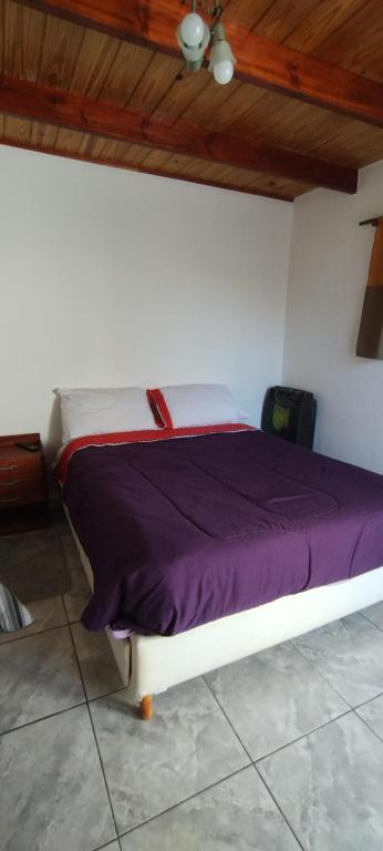 a bed in a room with a purple blanket on it at Ariel in Gobernador Gregores