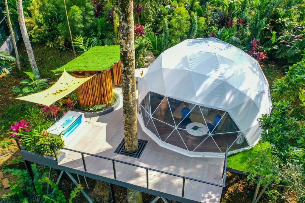 an egg house in the middle of a garden at Palo Alto Glamping Hotel in Quesada