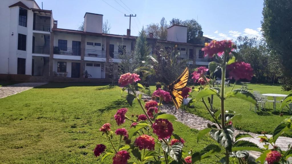 Zahrada ubytování Hotel Finca Las Bovedas
