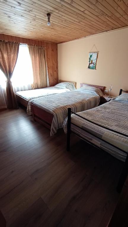 庫蘭尼匹的住宿－Lucerna Hostería，带窗户的客房内的两张床
