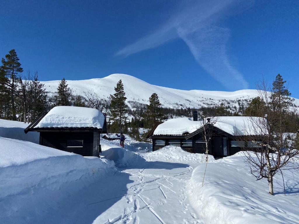 two buildings covered in snow with mountains in the background at Hito - cabin between Flå and Eggedal in Flå