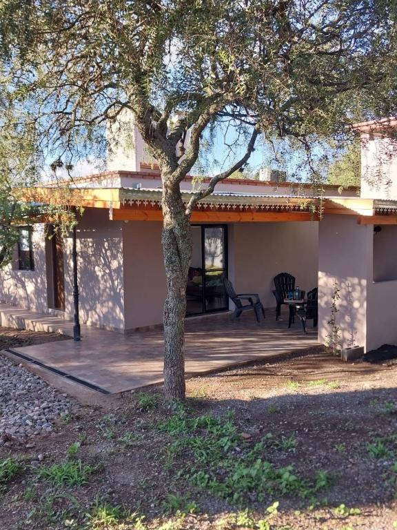 Cosquín – Photos 4