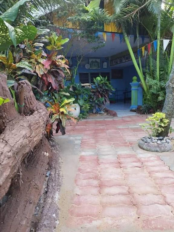 Zahrada ubytování Kubang Sepat HomeStay
