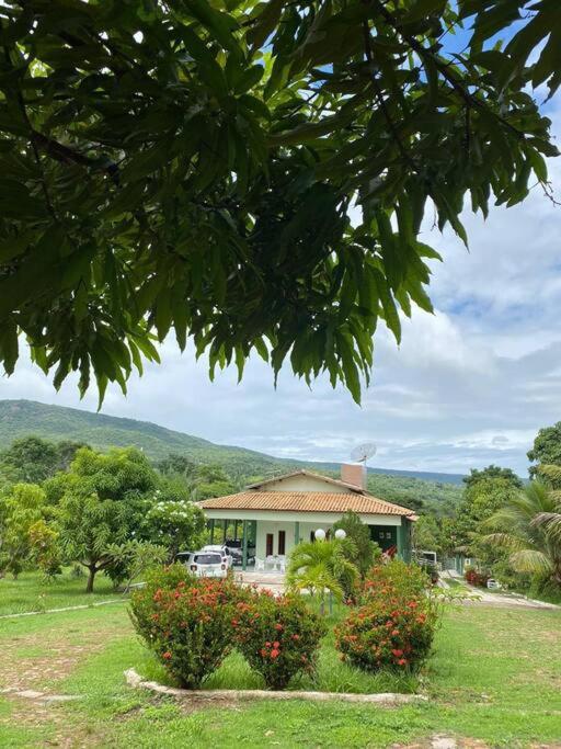 a house in a field with bushes and trees at Chácara Lameiro, Crato-CE in Crato
