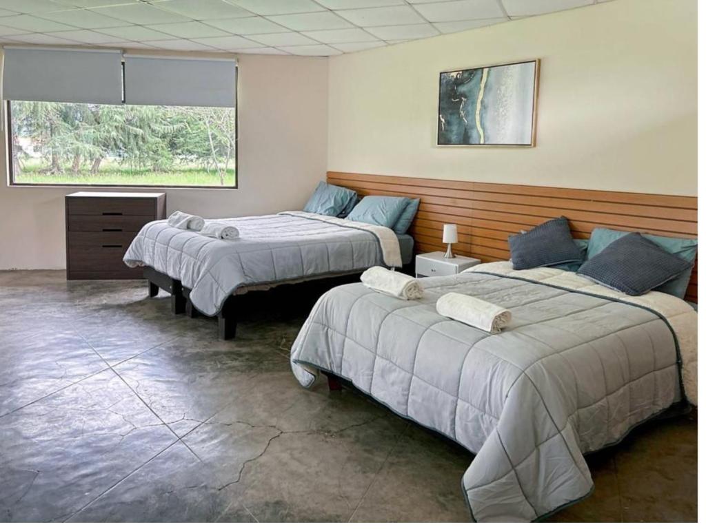 Voodi või voodid majutusasutuse Grandfathers Farm - Disfruta de la naturaleza en un lindo flat toas