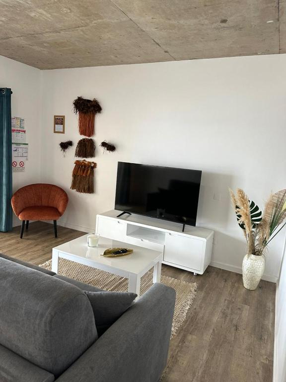 TV a/nebo společenská místnost v ubytování Pension Irivai, Appartement RAVA 1 chambre bord de mer