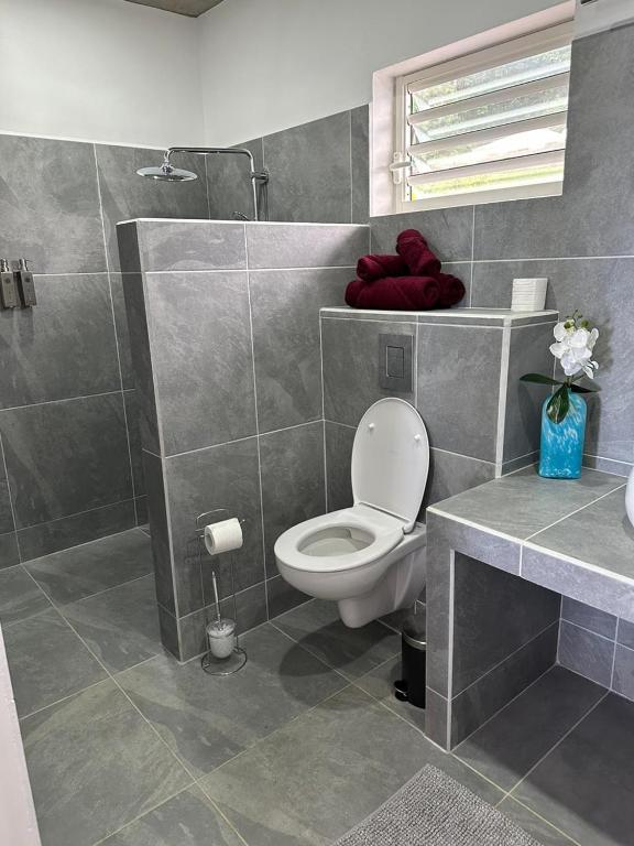 Koupelna v ubytování Pension Irivai, Appartement RAVA 1 chambre bord de mer