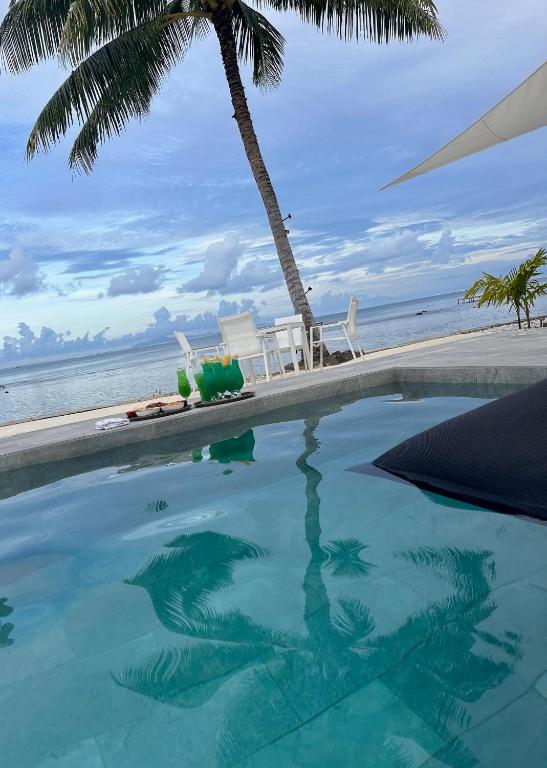 Pension Irivai appartement PUATOU 1 chambre bord de mer - photo 6 - Raiatea, Polynésie