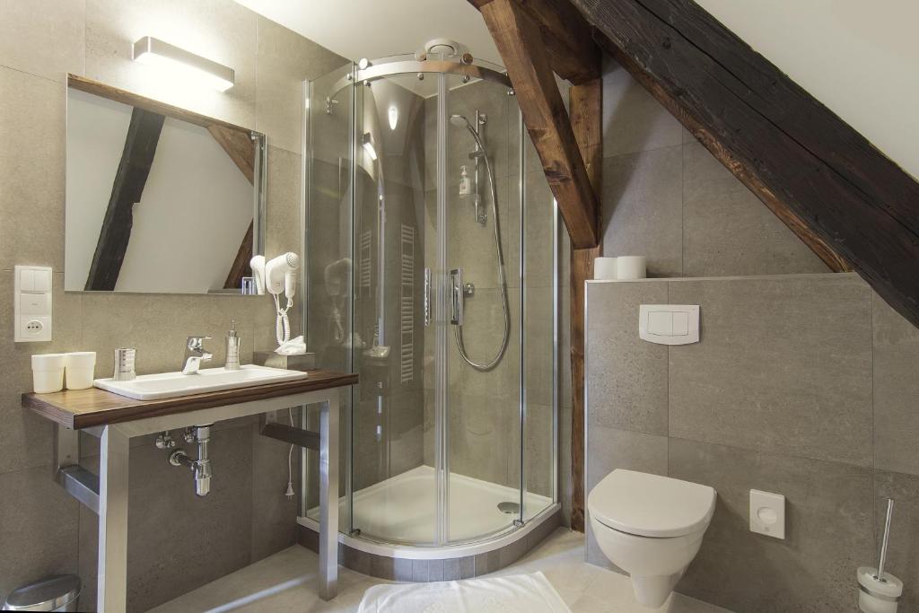 a bathroom with a shower and a toilet and a sink at Largo in Český Krumlov