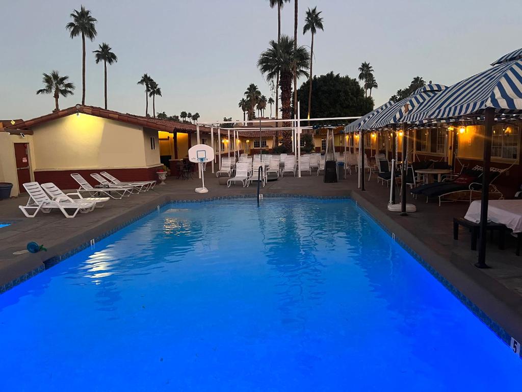 a large blue swimming pool with chairs and palm trees at EDR Hotel - Adults Only & Clothing Optional in Palm Springs
