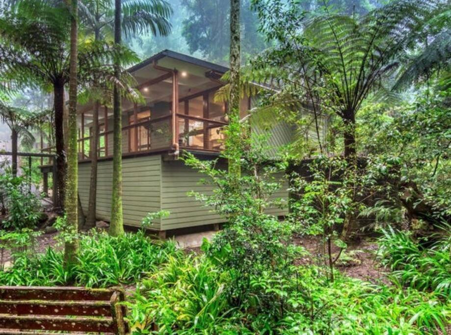 Yugambeh Hideaway in Springbrook National Park, Springbrook (updated prices 2024)