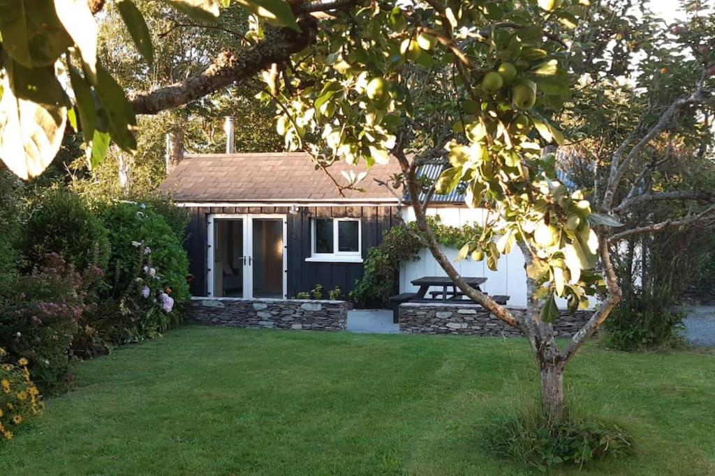 ein Haus mit einem Garten und einem Baum im Hof in der Unterkunft Cosy Cabin near Lough Hyne in Skibbereen