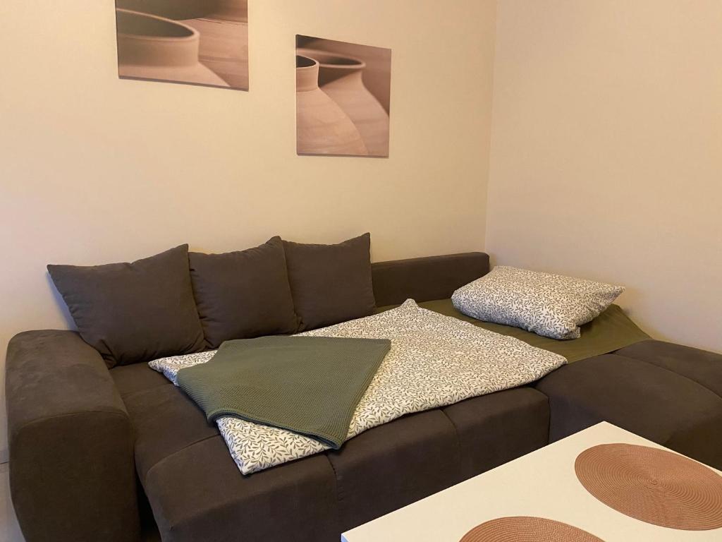 a living room with a brown couch with pillows at Zentrales Privatapartment in Bad Homburg vor der Höhe