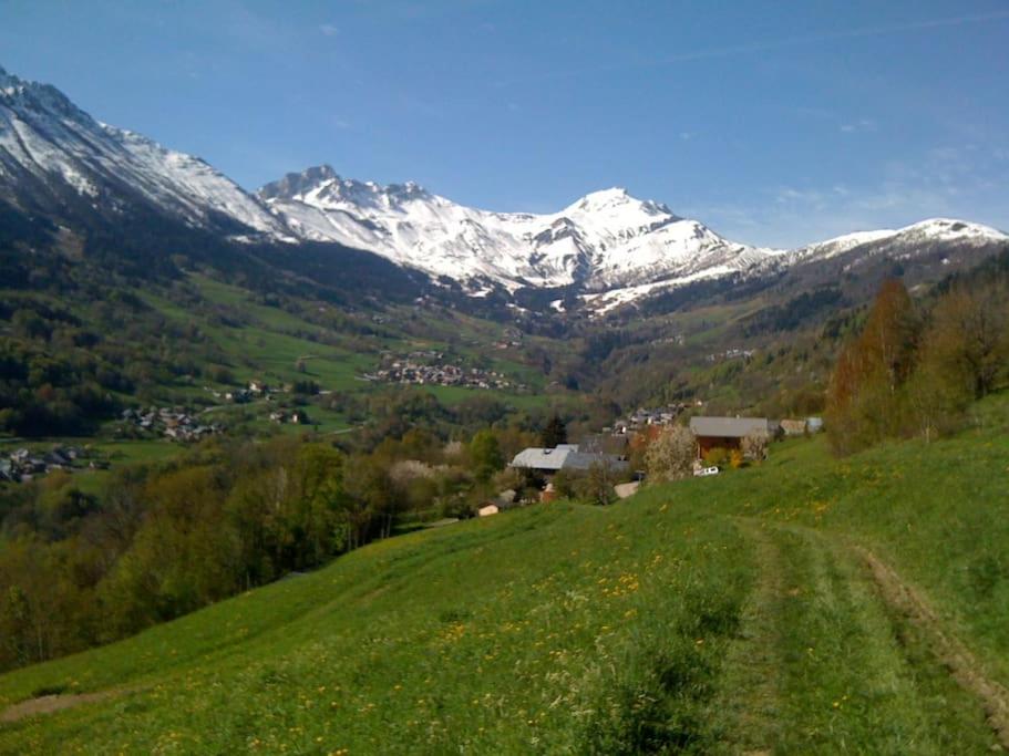 una colina verde con montañas cubiertas de nieve en el fondo en Chalet montagne Savoie Domaine Skiable Valmorel, en La Lechere