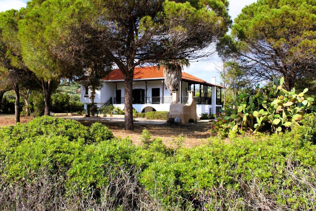 Una casa blanca con un árbol delante. en The Sisters Beach House, en Vathírrevma