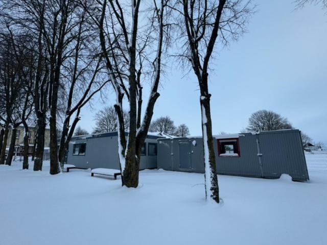 eine Gruppe von Bäumen und ein Gebäude im Schnee in der Unterkunft Dvaro namai 