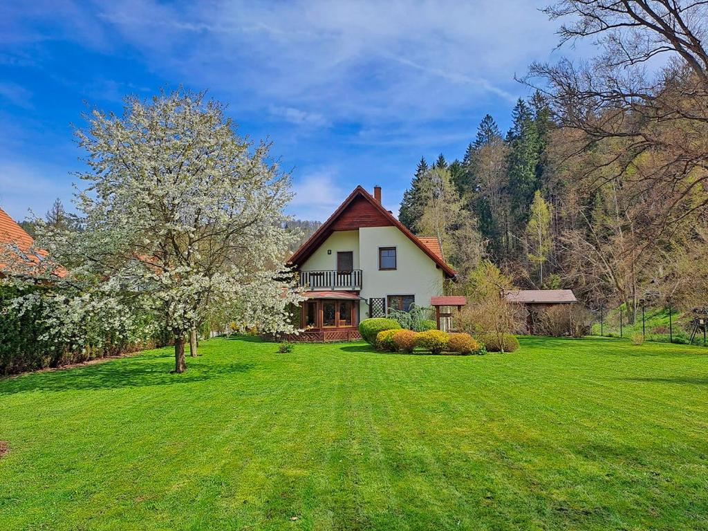 ein Haus auf einem grünen Rasen mit einem Baum in der Unterkunft Villa Gejzir 37 in Karlsbad
