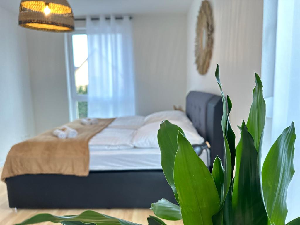 ein Schlafzimmer mit einem Bett und einer Topfpflanze in der Unterkunft AMAO Grey - 86 m2 Apartment - Balcony - King-Size Beds - Free Parking - Near Europa-Park - Up to 12 Guests with 2 Units in Rheinhausen