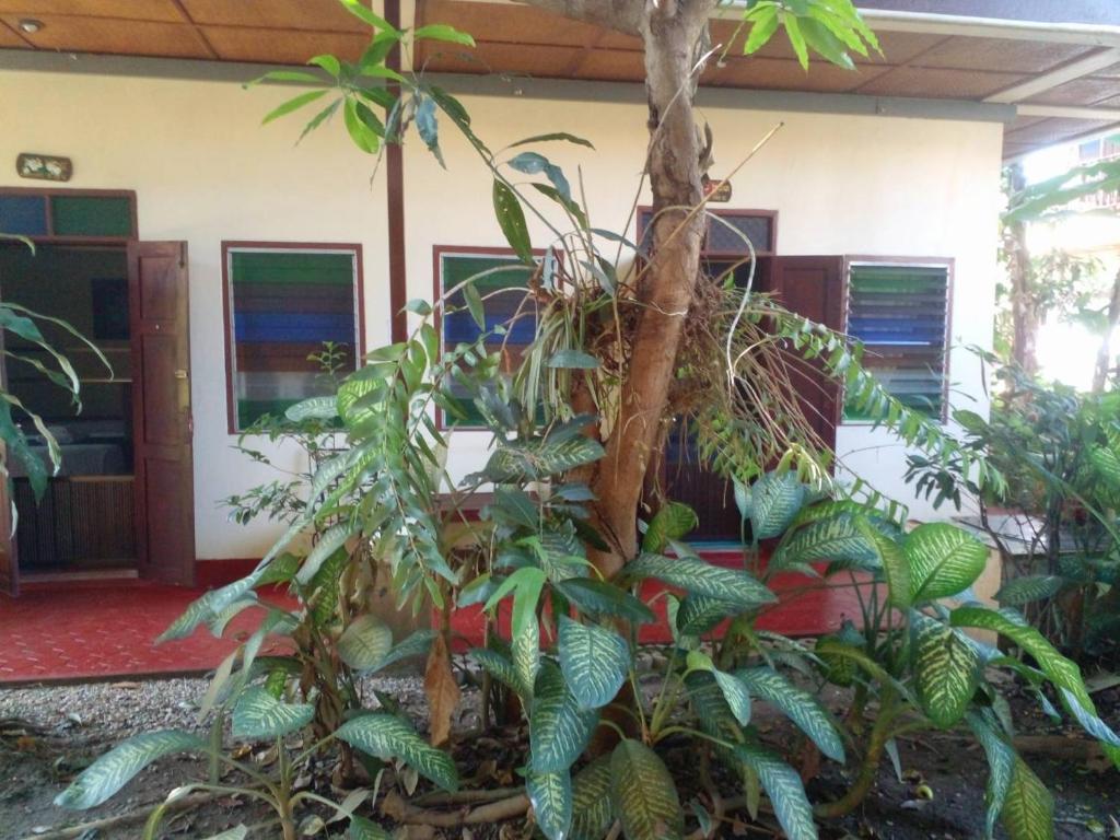 Golden Triangle Palace Hotel - Resim 43