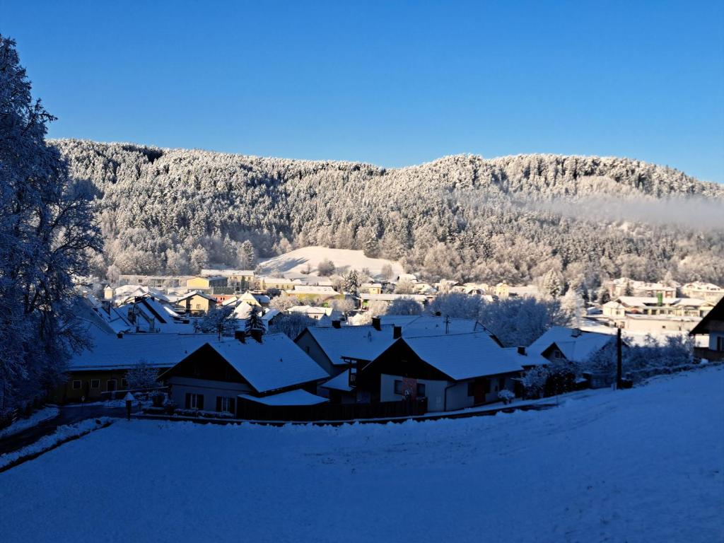 Příroda nedaleko apartmánu