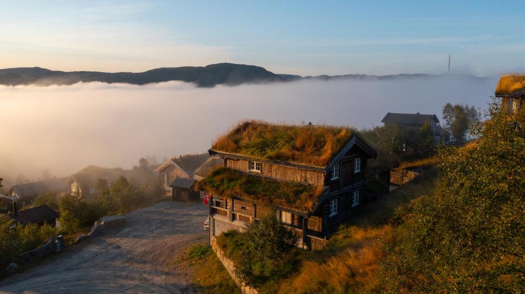 a house with a grass roof on a hill in the fog at Sirdal Mountain Lodge, ski in-out in Sinnes