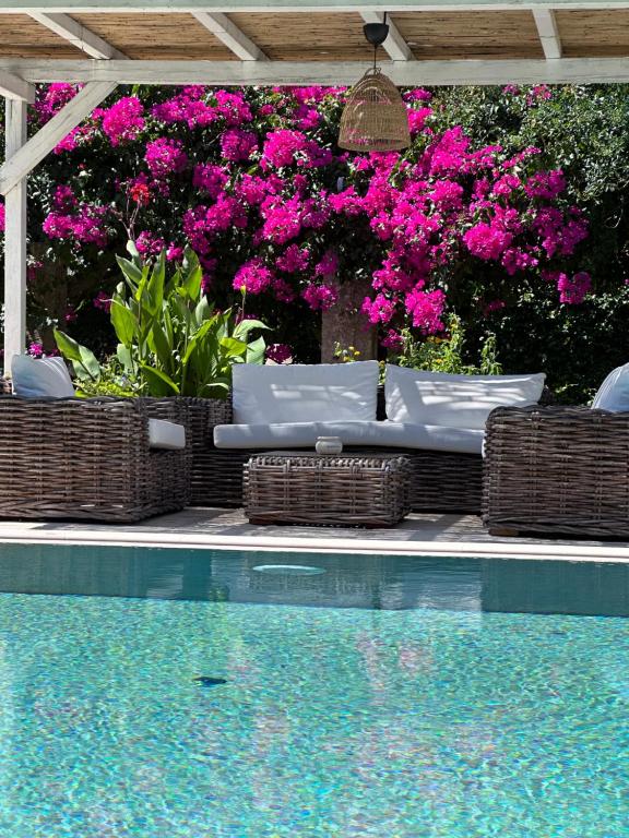 una piscina con sedie in vimini e fiori rosa accanto di Palazzo Siena - Home & More a Minervino di Lecce