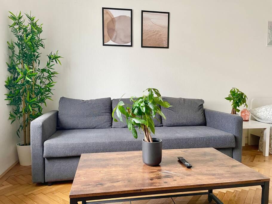 a living room with a couch and a table with a plant at 55m2 Stylish Apartment with Netflix - 15 min to Center in Vienna
