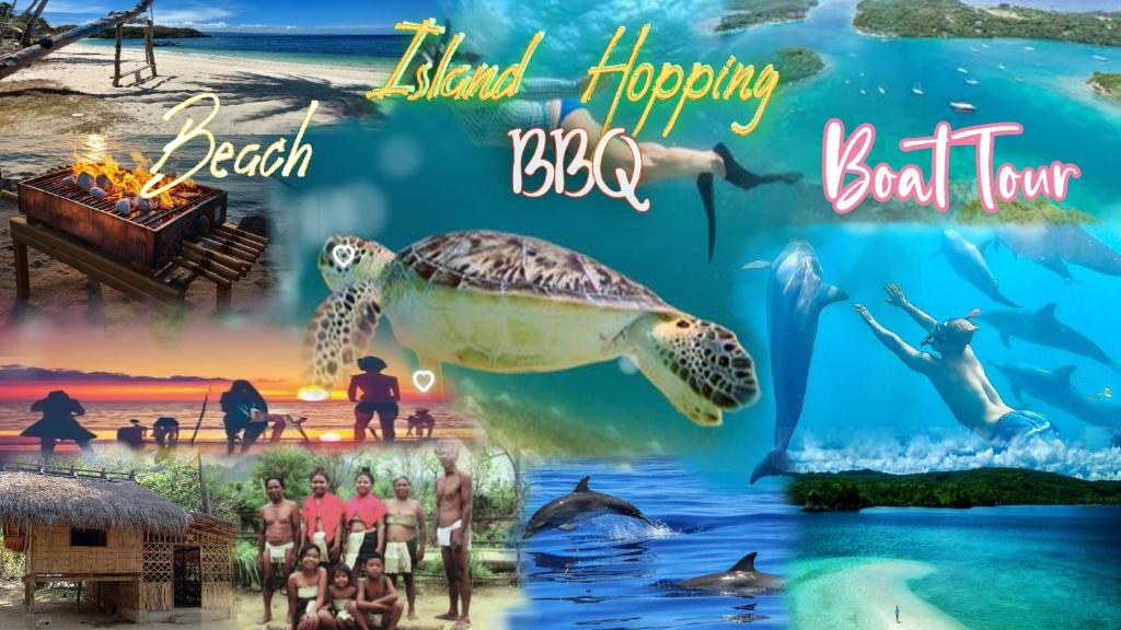 - Visita guiada por la playa con tortuga y delfines en Jenny, en Puerto Galera