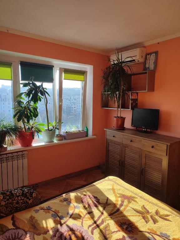a room with two windows and potted plants in it at One room in apartment in the park center area of Chisinau in Chişinău