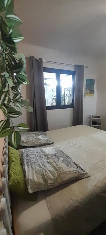 a bedroom with a bed and a plant next to a window at Chambre diamants in Saint-Pierre